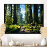 Redwood Giants Tree Forest II - Floral Canvas Wall Art