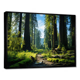 Redwood Giants Tree Forest II - Floral Canvas Wall Art