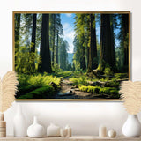 Redwood Giants Tree Forest II - Floral Canvas Wall Art