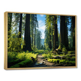 Redwood Giants Tree Forest II - Floral Canvas Wall Art