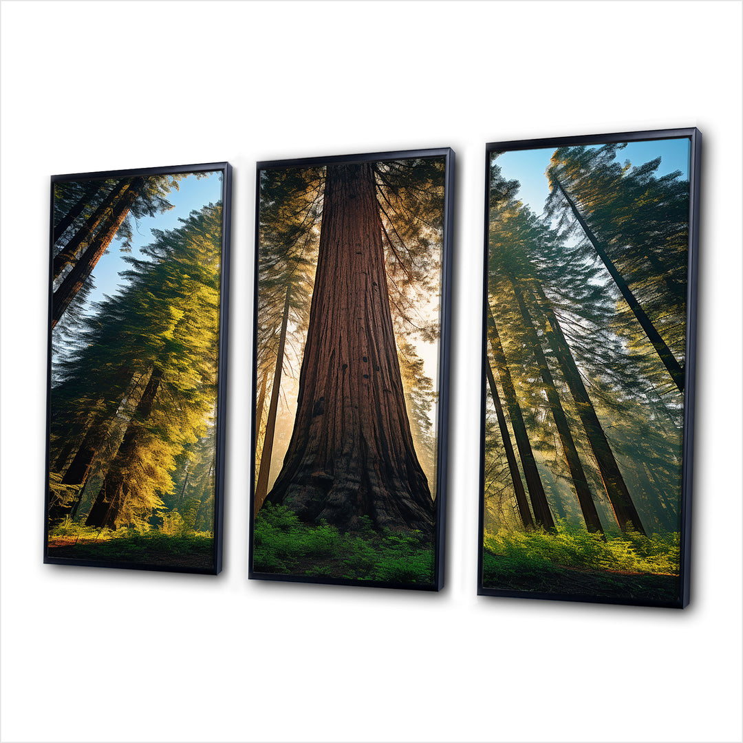 Redwood Majesty Tree Forest I - Multi-Panels