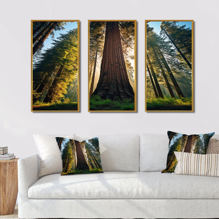 Redwood Majesty Tree Forest I - Multi-Panels