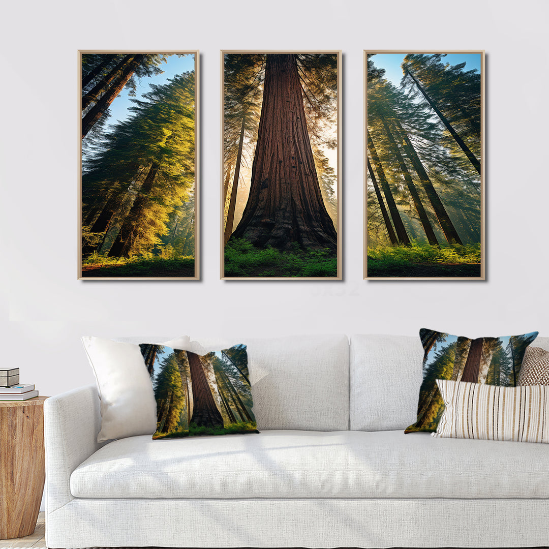 Redwood Majesty Tree Forest I - Multi-Panels