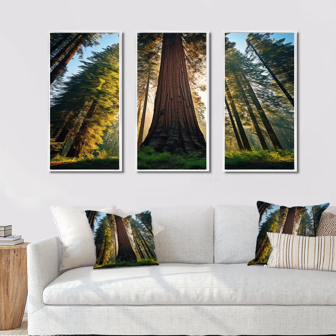 Redwood Majesty Tree Forest I - Multi-Panels