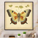 Vintage Illustration Of Elegant Butterfly - Butterfly Living Room Wall Art