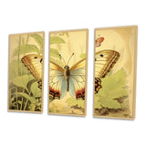 Vintage Illustration Of Elegant Butterfly II - Multi-Panels