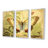 Vintage Illustration Of Elegant Butterfly II - Multi-Panels