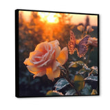 Butterfly On Pink Rose During Sunrise - Butterfly Wall Decor