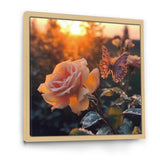 Butterfly On Pink Rose During Sunrise - Butterfly Wall Decor