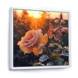 Butterfly On Pink Rose During Sunrise - Butterfly Wall Decor