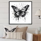 Butterfly Portrait Black And White Watercolor - Butterfly Wall Art Prints