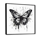 Butterfly Portrait Black And White Watercolor - Butterfly Wall Art Prints