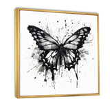 Butterfly Portrait Black And White Watercolor - Butterfly Wall Art Prints