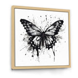 Butterfly Portrait Black And White Watercolor - Butterfly Wall Art Prints