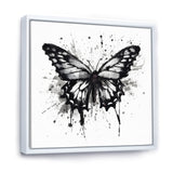 Butterfly Portrait Black And White Watercolor - Butterfly Wall Art Prints