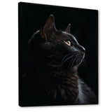Portrait Of A Black Cat Photography - Cat Living Room Wall Art
