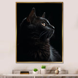 Portrait Of A Black Cat Photography - Cat Living Room Wall Art
