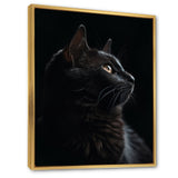 Portrait Of A Black Cat Photography - Cat Living Room Wall Art