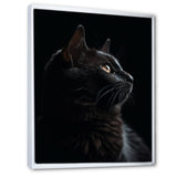 Portrait Of A Black Cat Photography - Cat Living Room Wall Art