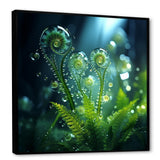 Magical Fern Light Of Morning Dawn - White Cat Wall Art