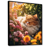 Fluffy Cat Sleeping Sunny Flower Garden - Cat Framed Canvas Art