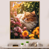 Fluffy Cat Sleeping Sunny Flower Garden - Cat Framed Canvas Art