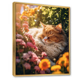 Fluffy Cat Sleeping Sunny Flower Garden - Cat Framed Canvas Art