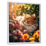 Fluffy Cat Sleeping Sunny Flower Garden - Cat Framed Canvas Art