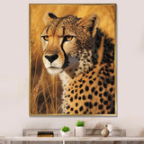 Majestic Cheetah In Savanna Plains - Cheetah Wall Decor