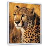 Majestic Cheetah In Savanna Plains - Cheetah Wall Decor
