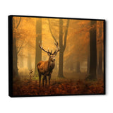 Majestic Deer In Forest Nature Photography - Deer Wall Art Prints