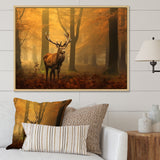 Majestic Deer In Forest Nature Photography - Deer Wall Art Prints