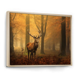 Majestic Deer In Forest Nature Photography - Deer Wall Art Prints