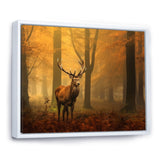 Majestic Deer In Forest Nature Photography - Deer Wall Art Prints