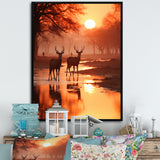 Two Deers At Sunset Nature Photography - Deer Wall Art Prints