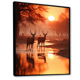 Two Deers At Sunset Nature Photography - Deer Wall Art Prints