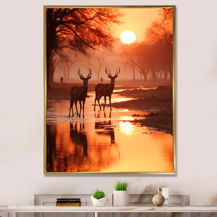 Two Deers At Sunset Nature Photography - Deer Wall Art Prints