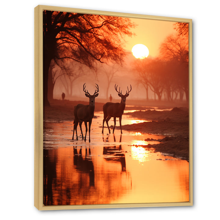 Two Deers At Sunset Nature Photography - Deer Wall Art Prints