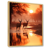 Two Deers At Sunset Nature Photography - Deer Wall Art Prints