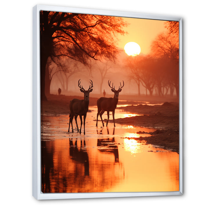 Two Deers At Sunset Nature Photography - Deer Wall Art Prints
