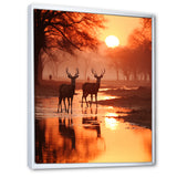 Two Deers At Sunset Nature Photography - Deer Wall Art Prints