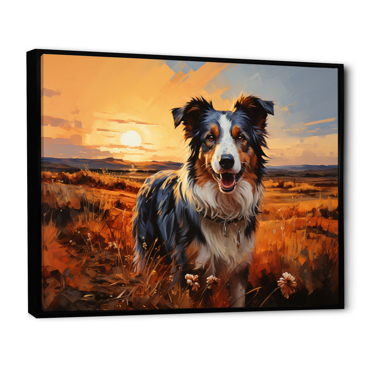 Border Collie Walking Under Golden Horizon - Dog Large Canvas Wall Art
