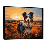 Border Collie Walking Under Golden Horizon - Dog Large Canvas Wall Art