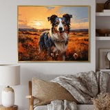 Border Collie Walking Under Golden Horizon - Dog Large Canvas Wall Art