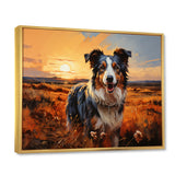 Border Collie Walking Under Golden Horizon - Dog Large Canvas Wall Art
