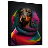 Cool Dachshund In Rainbow Designer Sweater - Dog Daschund Wall Art Prints
