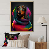 Cool Dachshund In Rainbow Designer Sweater - Dog Daschund Wall Art Prints
