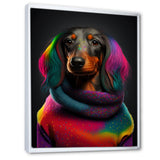 Cool Dachshund In Rainbow Designer Sweater - Dog Daschund Wall Art Prints