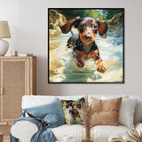 Cute Dachshund Playing In The River - Dog Daschund Home Decor Art