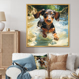 Cute Dachshund Playing In The River - Dog Daschund Home Decor Art